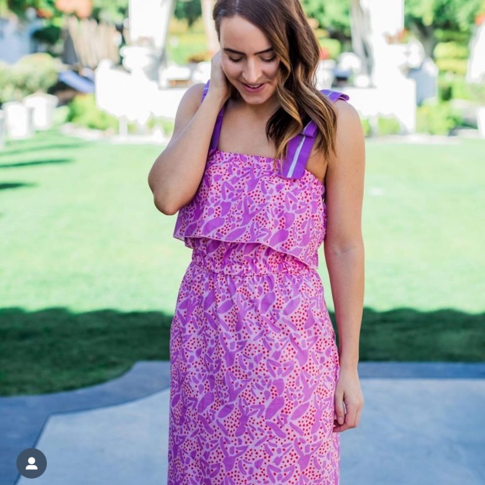 Tuckernuck Persifor- Pink & Lavender Ruffle Hem Midi Dress - Picture 3 of 13